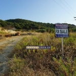 Парцел в Пловдив, Филипово - 9069 кв.м за 37 €/кв.м - Снимка #1