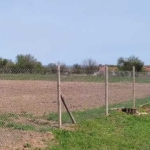 Парцел в с. Мерданя, Област Велико Търново - 1209 кв.м за 11 €/кв.м - Снимка #1