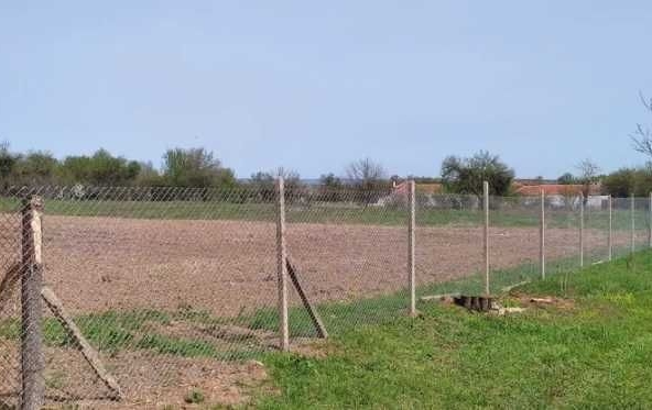 Парцел в с. Мерданя, Област Велико Търново - 1209 кв.м за 11 €/кв.м - Снимка #1