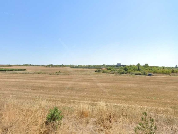 Парцел в с. Маринка, Област Бургас - 5000 кв.м за 11 €/кв.м - Снимка #1