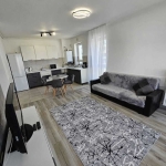 Дава се под наем Двустаен апартамент в София, Бояна - 49 кв.м за 450 € - Снимка #1