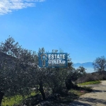 Парцел в Пловдив, Филипово - 320 кв.м за 44 €/кв.м - Снимка #1