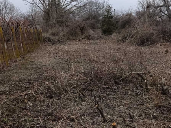 Парцел в с. Козаревец, Област Велико Търново - 1337 кв.м за 18 €/кв.м - Снимка #1