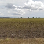 Парцел в с. Черно море, Област Бургас - 8000 кв.м за 3 €/кв.м - Снимка #1