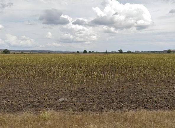 Парцел в с. Черно море, Област Бургас - 8000 кв.м за 3 €/кв.м - Снимка #1