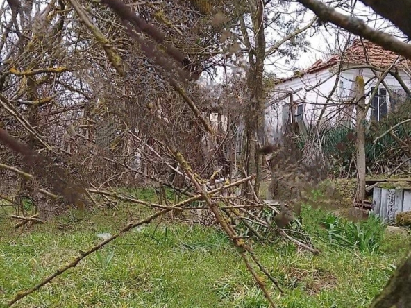 Парцел в с. Константиново, Област Варна - 2530 кв.м за 24 €/кв.м - Снимка #1