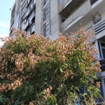 Дава се под наем Едностаен апартамент в Варна, Младост 1 - 39 кв.м за 244.8 € - Снимка #1