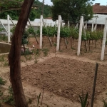 Парцел в Плевен, Идеален център - 600 кв.м за 11 €/кв.м - Снимка #1