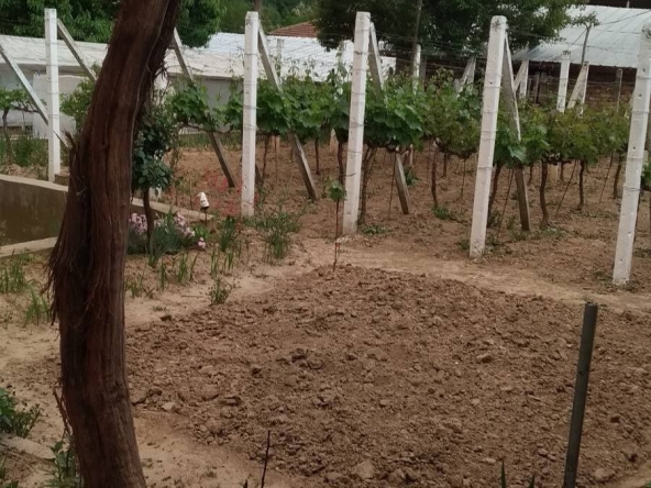 Парцел в Плевен, Идеален център - 600 кв.м за 11 €/кв.м - Снимка #1