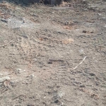 Парцел в Петрич - 1000 кв.м за 75 €/кв.м - Снимка #1