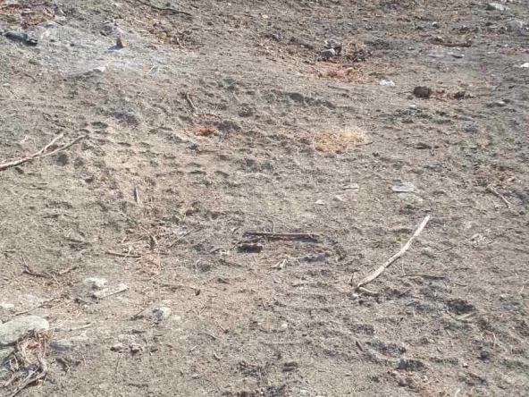 Парцел в Петрич - 1000 кв.м за 75 €/кв.м - Снимка #1