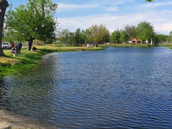 Парцел в с. Куртово Конаре, Област Пловдив - 21115 кв.м за 17 €/кв.м - Снимка #1