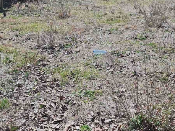 Парцел в Дългопол - 647 кв.м за 20 €/кв.м - Снимка #1