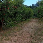 Земеделски имот в Сливен, Речица -  кв.м за 1836 €/дка - Снимка #1