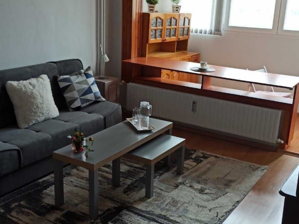 Дава се под наем Двустаен апартамент в София, Дружба 2 - 48 кв.м за 448.8 € - Снимка #1