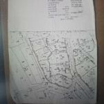 Парцел в с. Аврен, Област Варна - 2000 кв.м за 12 €/кв.м - Снимка #1