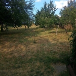 Парцел в с. Хераково, Област София-област - 1250 кв.м за 65 €/кв.м - Снимка #1