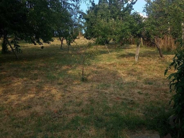 Парцел в с. Хераково, Област София-област - 1250 кв.м за 65 €/кв.м - Снимка #1