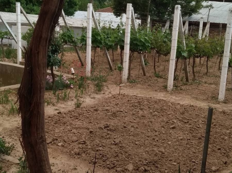 Парцел в Плевен, Идеален център - 600 кв.м за 17 €/кв.м - Снимка #1