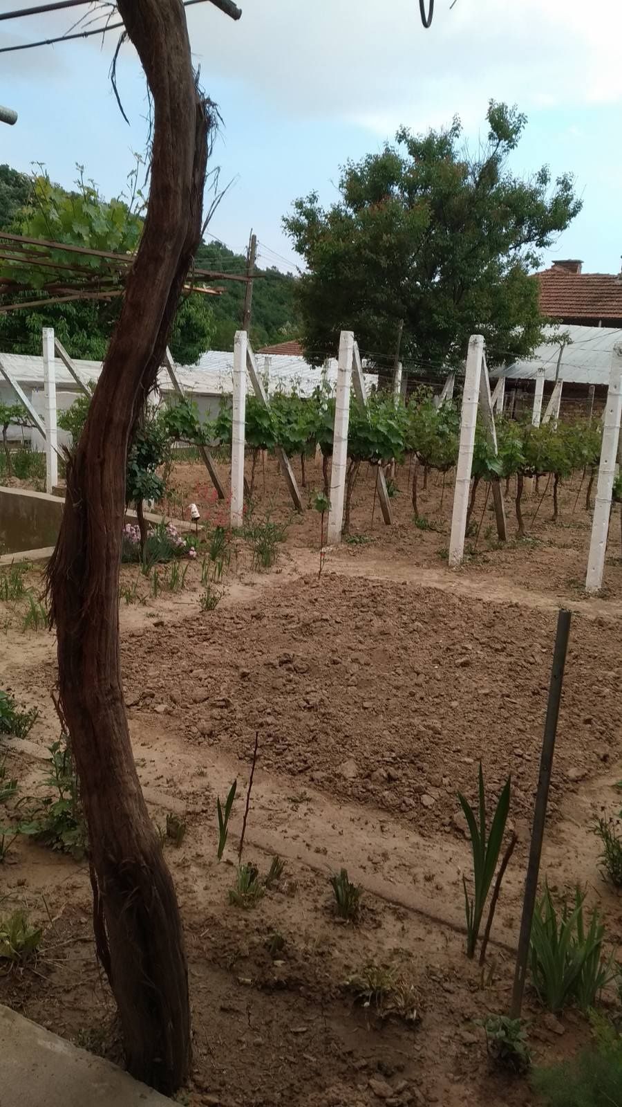 Парцел в Плевен, Идеален център - 600 кв.м за 17 €/кв.м - Снимка #1