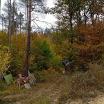 Земеделски имот в Смолян, в.з. Смолян -  кв.м за 1080 €/дка - Снимка #1