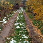 Парцел в с. Прибой, Област Перник - 2300 кв.м за 7 €/кв.м - Снимка #1