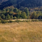 Земеделски имот в с. Сивино, Област Смолян -  кв.м за 1900 €/дка - Снимка #1