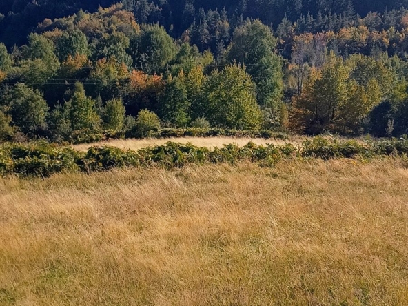 Земеделски имот в с. Сивино, Област Смолян -  кв.м за 1900 €/дка - Снимка #1