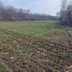 Земеделски имот в с. Щръклево, Област Русе -  кв.м за 91 €/дка - Снимка #1