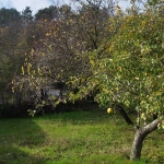 Парцел в Белослав - 466 кв.м за 75 €/кв.м - Снимка #1