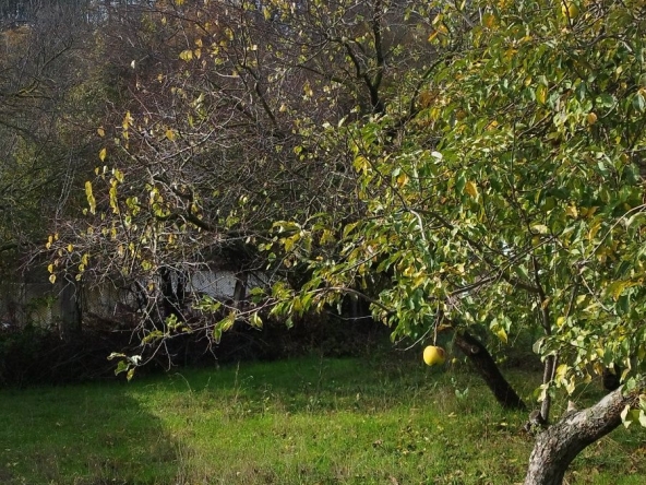 Парцел в Белослав - 466 кв.м за 75 €/кв.м - Снимка #1