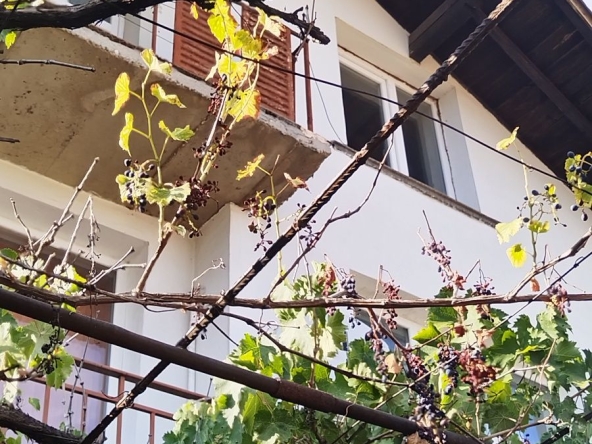 Къща в Перник, Клепало - 208 кв.м за 580 €/кв.м - Снимка #1