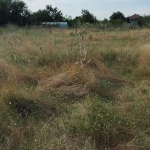 Парцел в с. Богданица, Област Пловдив - 588 кв.м за 9 €/кв.м - Снимка #1