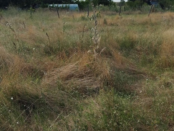 Парцел в с. Богданица, Област Пловдив - 588 кв.м за 9 €/кв.м - Снимка #1