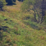 Земеделски имот в Смолян, в.з. Смолян -  кв.м за 1084 €/дка - Снимка #1