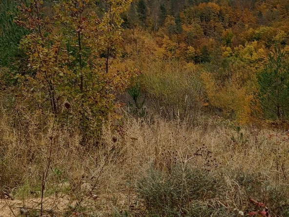 Земеделски имот в с. Средногорци, Област Смолян -  кв.м за 1573 €/дка - Снимка #1