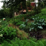 Къща в с. Гара Бов, Област София-област - 165 кв.м за 304 €/кв.м - Снимка #1