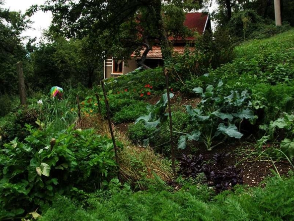 Къща в с. Гара Бов, Област София-област - 165 кв.м за 170 €/кв.м - Снимка #1