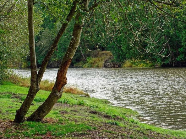 Парцел в с. Джурово, Област София-област - 163 кв.м за 8 €/кв.м - Снимка #1