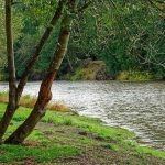 Парцел в с. Джурово, Област София-област - 163 кв.м за 8 €/кв.м - Снимка #1