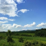 Парцел в с. Рударци, Област Перник - 4259 кв.м за 103 €/кв.м - Снимка #1