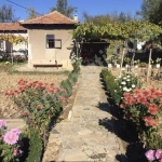 Къща в с. Церова кория, Област Велико Търново - 70 кв.м за 474 €/кв.м - Снимка #1