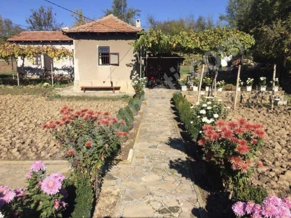 Къща в с. Церова кория, Област Велико Търново - 70 кв.м за 474 €/кв.м - Снимка #1