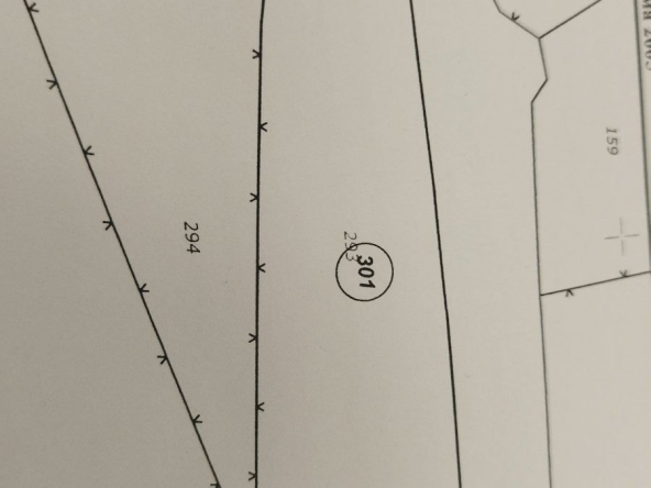 Парцел в с. Белиш, Област Ловеч - 656 кв.м за 14 €/кв.м - Снимка #1