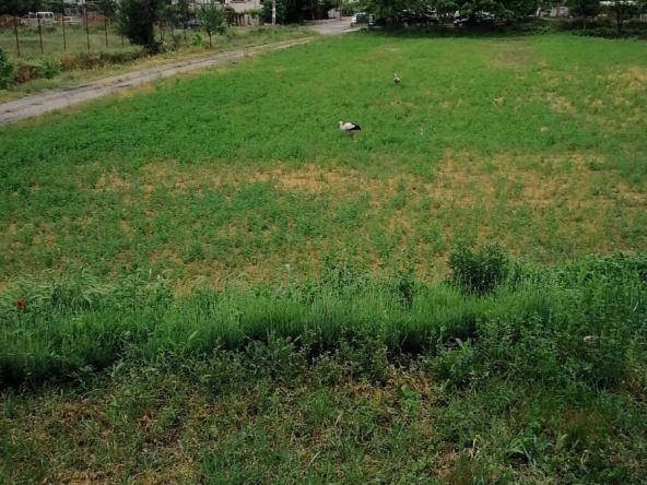 Парцел в Годеч - 50 кв.м за 1500 €/кв.м - Снимка #1