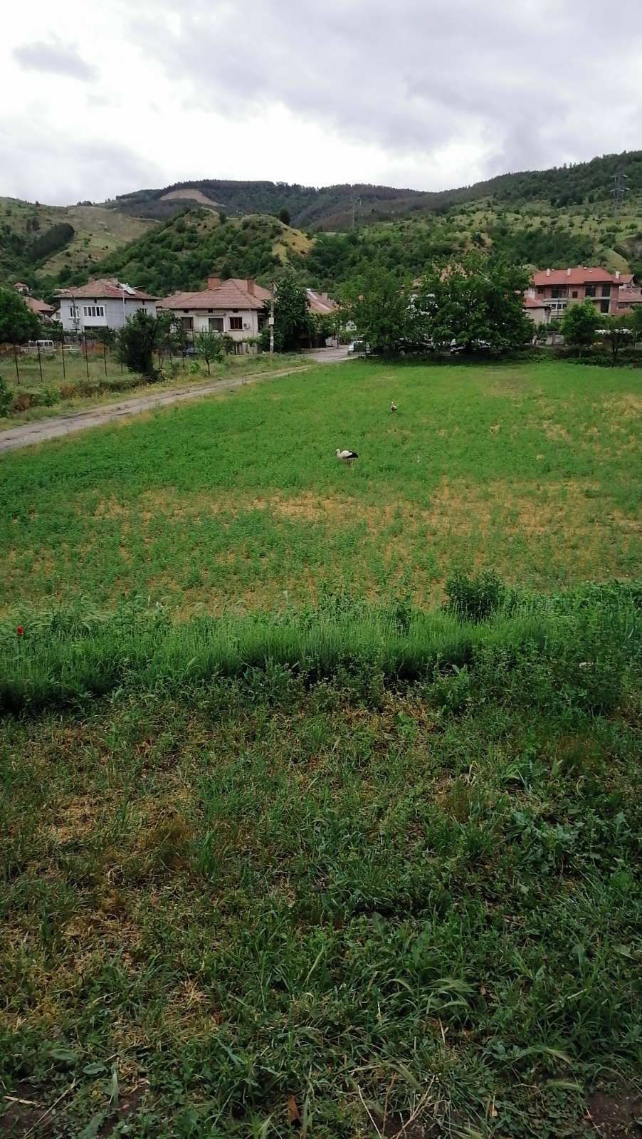 Парцел в Годеч - 50 кв.м за 1500 €/кв.м - Снимка #1