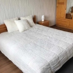 Дава се под наем Двустаен апартамент в Пловдив, Каменица 1 - 55 кв.м за 273.87 € - Снимка #1