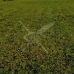 Парцел в Пловдив, Коматево - 6944 кв.м за 16 €/кв.м - Снимка #1