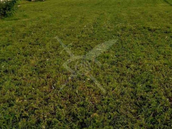 Парцел в Пловдив, Коматево - 6944 кв.м за 16 €/кв.м - Снимка #1