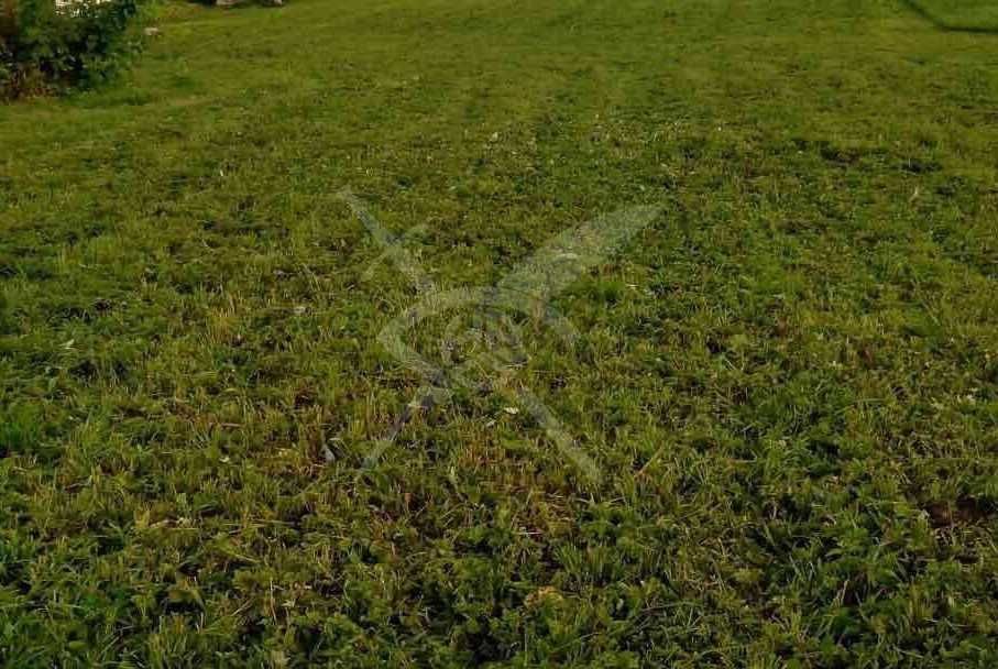 Парцел в Пловдив, Коматево - 6944 кв.м за 16 €/кв.м - Снимка #1